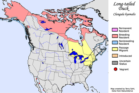 Range of the Long-tailed Duck. (Source: South Dakota Birds and Birding)